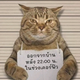 用户4121353806505 · 朗逸车主·车龄3年头像