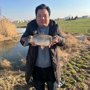 胸怀大鲫「蚌埠二手渔具」头像