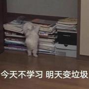 Goafan的个人资料头像
