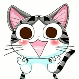 帕拉猫说影头像