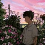 一纸风行822头像