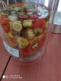 安静的小鲨鱼头像