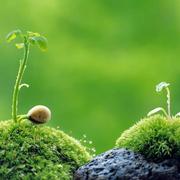 lv_you的个人资料头像