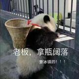 久睡成瘾5491头像
