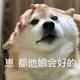 废柴暖阳头像