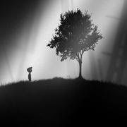 无奈777的个人资料头像