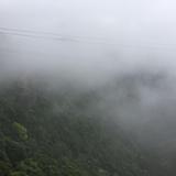 责任为爱而生头像