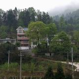 勇者百香果rCI头像