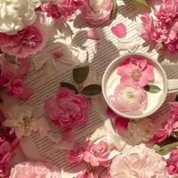 一往无前芒果5k3头像