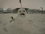 苦逼ai小白的个人资料头像