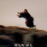 饺子消灭者头像
