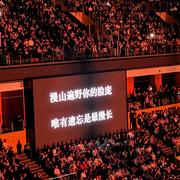 尤雨溪不懂VUE的个人资料头像