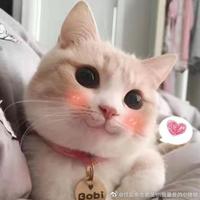 用户3646567023545头像
