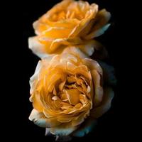 南墙已撞故事已忘头像