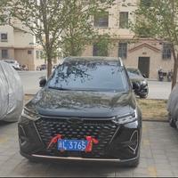 朴实阳光iV头像