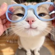 izx888的个人资料头像