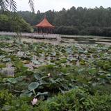 马三462头像
