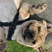 用户6194229658168的个人资料头像