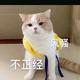 五菱秋名山车主 · 蒙迪欧车主·车龄1年头像