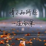 格调3837头像