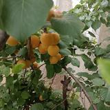 精彩视频不易错头像