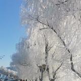 1121陈小der头像