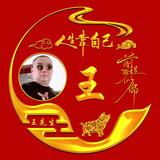 永望直前东北虎头像