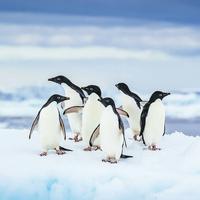 没后悔ining头像