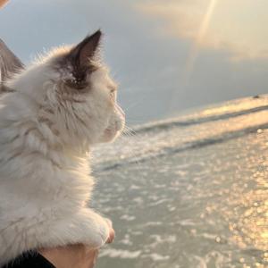 杨玖玖头像