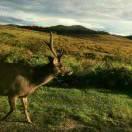 zengzhuoHeyu的个人资料头像