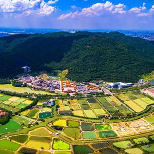 西樵山旅游头像