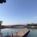 万君的个人资料头像