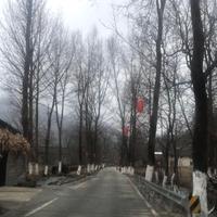 路漫漫慢慢走473头像