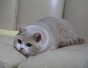 蛋黄教我写代码的个人资料头像