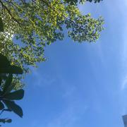 Shuai280的个人资料头像