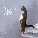 用户405799803227头像