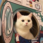 粑粑王子的个人资料头像