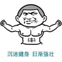 yz登高望远头像