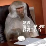 galihuotui的个人资料头像