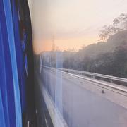 晴晴怪怪的个人资料头像