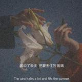 你好呆哦4q7B头像
