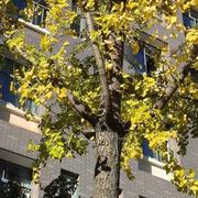 用户8065129669345的个人资料头像