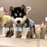 你们买车钱哪里来的头像