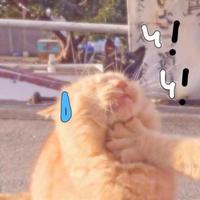 用户4732718763618头像