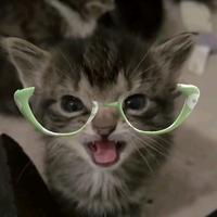 摸鱼的网友.头像