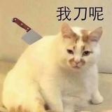 又是想发财的一天头像
