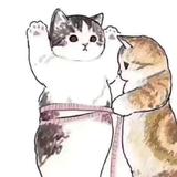 tumu123头像