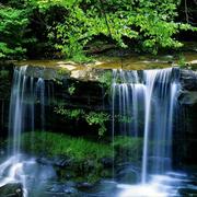 紫菲的个人资料头像