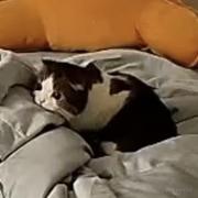 用户46732579935642的个人资料头像