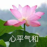 心平气和69581头像